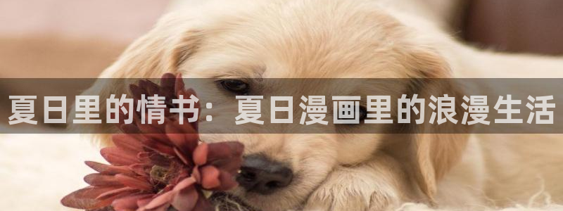 漫画免费看奇漫屋：夏日里的情书：夏日漫画里的浪漫生活